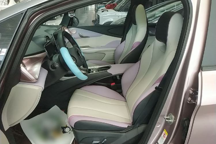 Used BYD Dolphin 2021 401km Knight Edition Left Front Seat