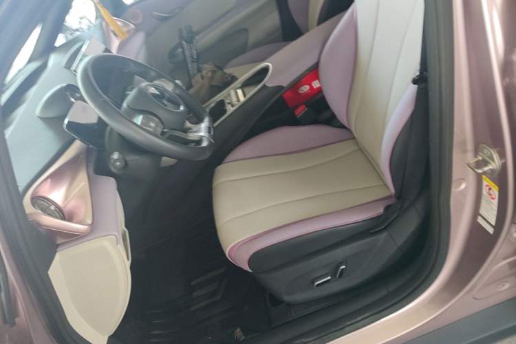 Used BYD Dolphin 2021 405 km Fashion Edition Left Front Seat