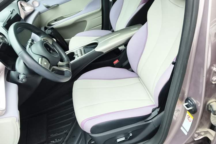 Used BYD Dolphin 2021 405 km Fashion Edition Left Front Seat
