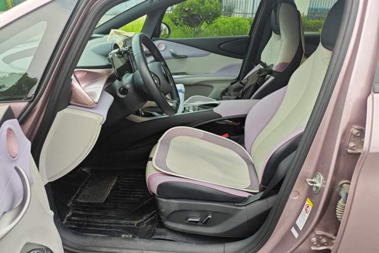 Used BYD Dolphin 2021 405 km Fashion Edition Left Front Seat