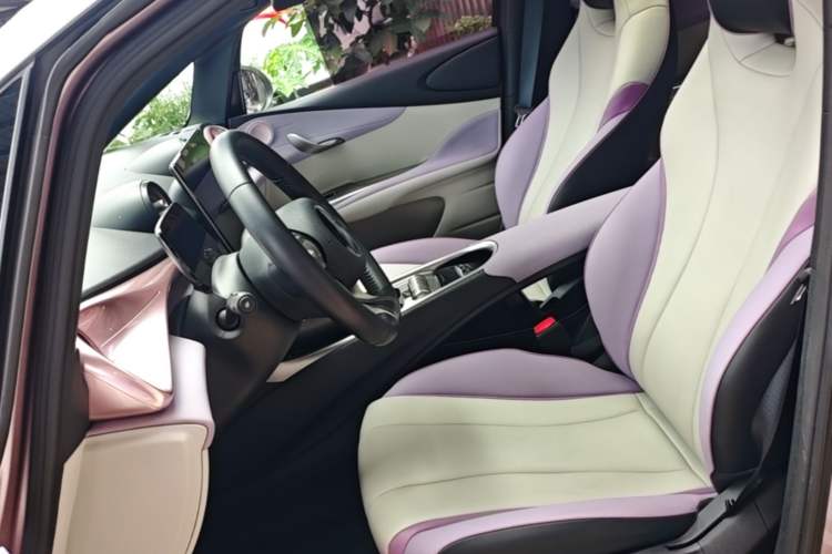 Used BYD Dolphin 2021 401km Knight Edition Left Front Seat