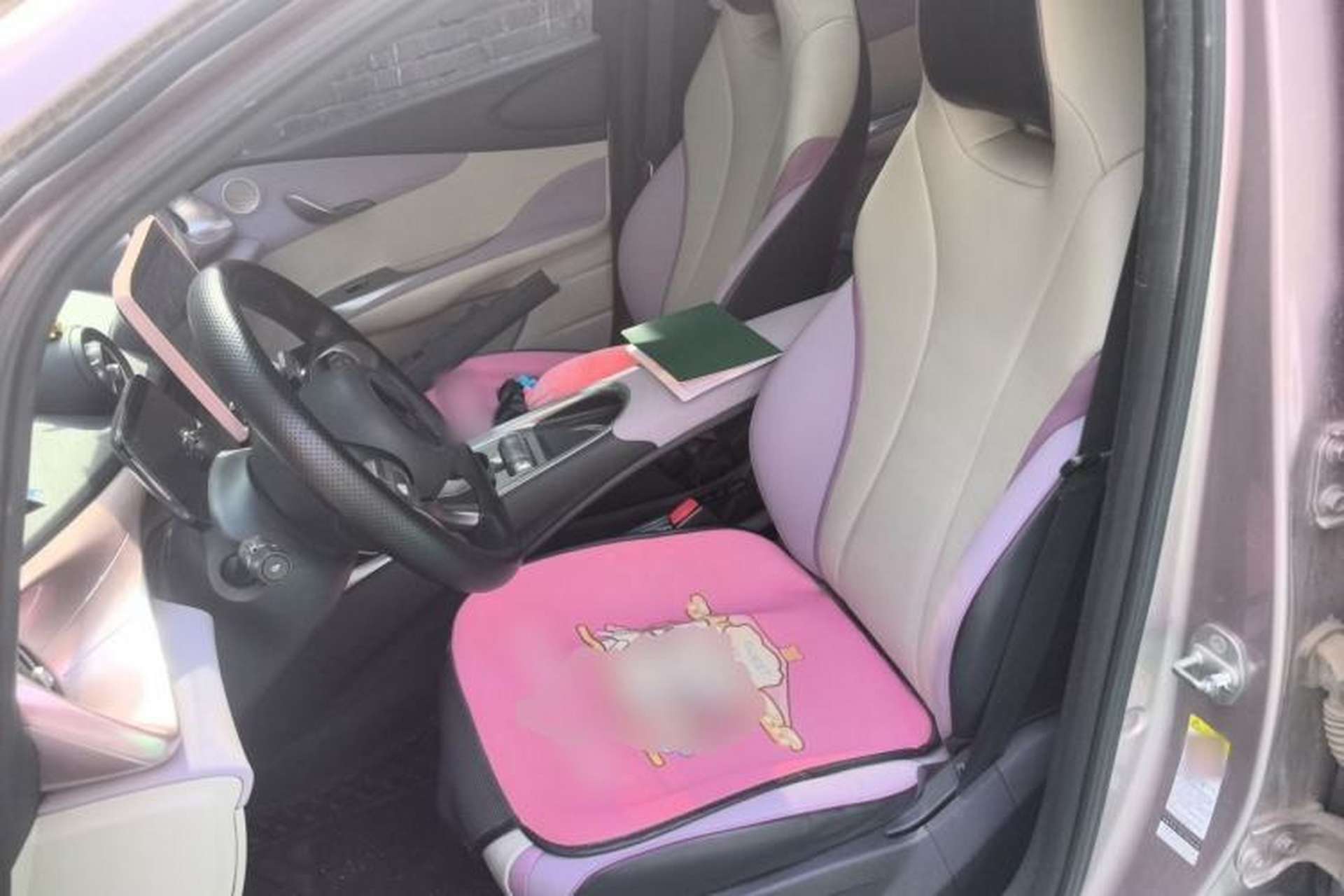 Used BYD Dolphin 2021 405 km Fashion Edition Left Front Seat