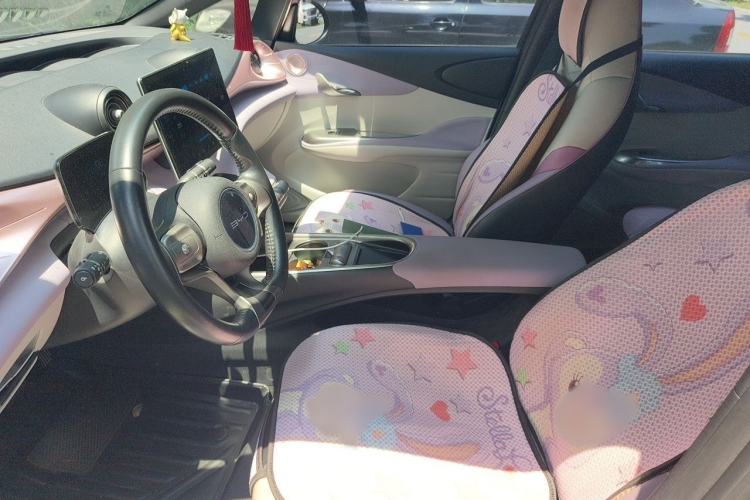 Used BYD Dolphin 2021 405 km Fashion Edition Left Front Seat