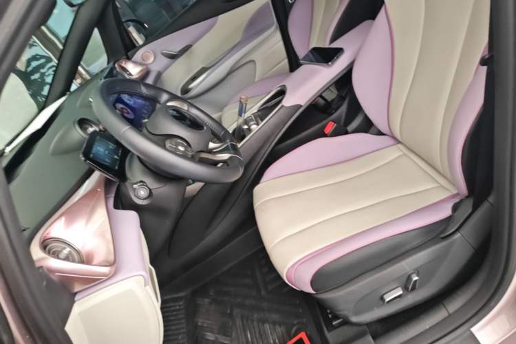 Used BYD Dolphin 2021 401km Knight Edition Left Front Seat
