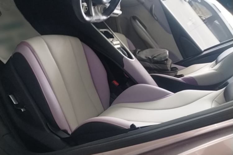 Used BYD Dolphin 2021 405 km Fashion Edition Left Front Seat