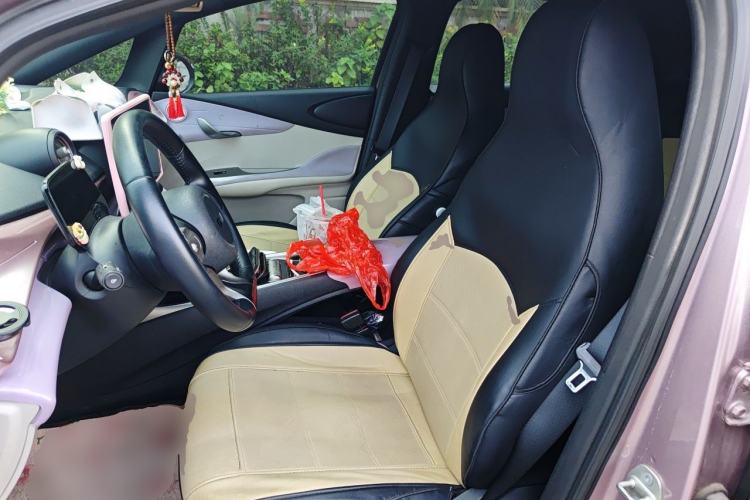 Used BYD Dolphin 2021 405 km Fashion Edition Left Front Seat