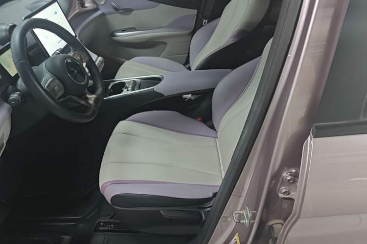 Used BYD Dolphin 2021 405 km Free Version Left Front Seat