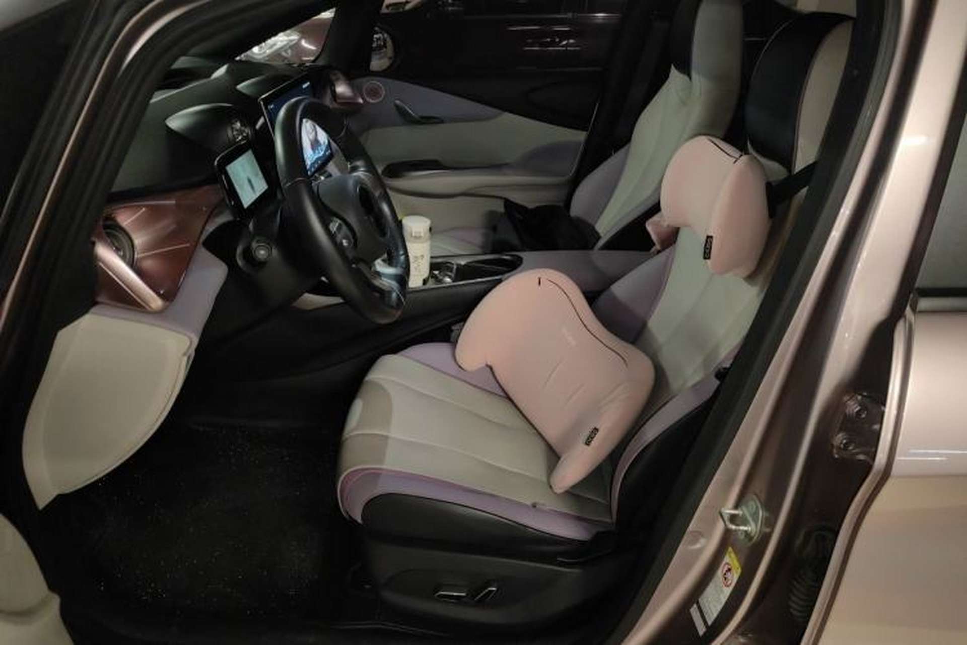 Used BYD Dolphin 2021 405 km Fashion Edition Left Front Seat