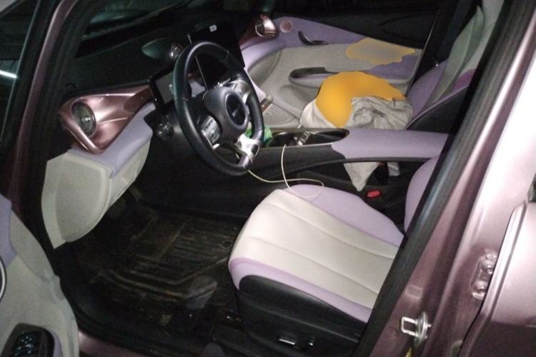 Used BYD Dolphin 2021 405 km Fashion Edition Left Front Seat