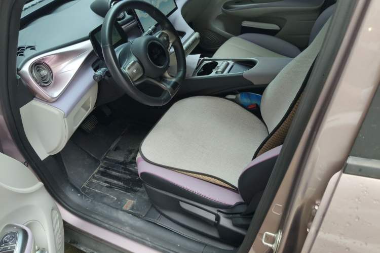 Used BYD Dolphin 2021 405 km Free Version Left Front Seat