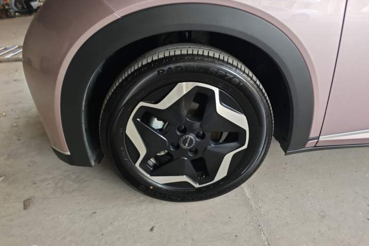Used BYD Dolphin 2021 405 km Fashion Edition Left Front Wheel Hub