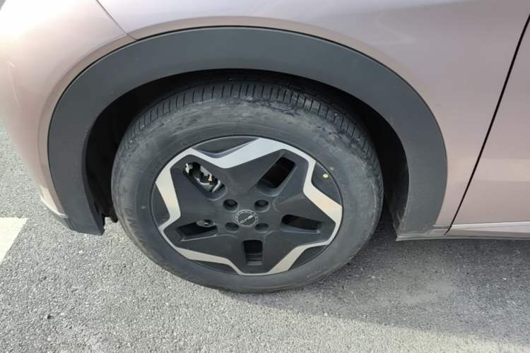 Used BYD Dolphin 2021 405 km Fashion Edition Left Front Wheel Hub
