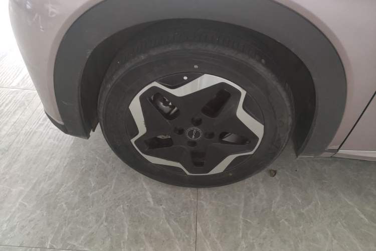 Used BYD Dolphin 2021 405 km Fashion Edition Left Front Wheel Hub
