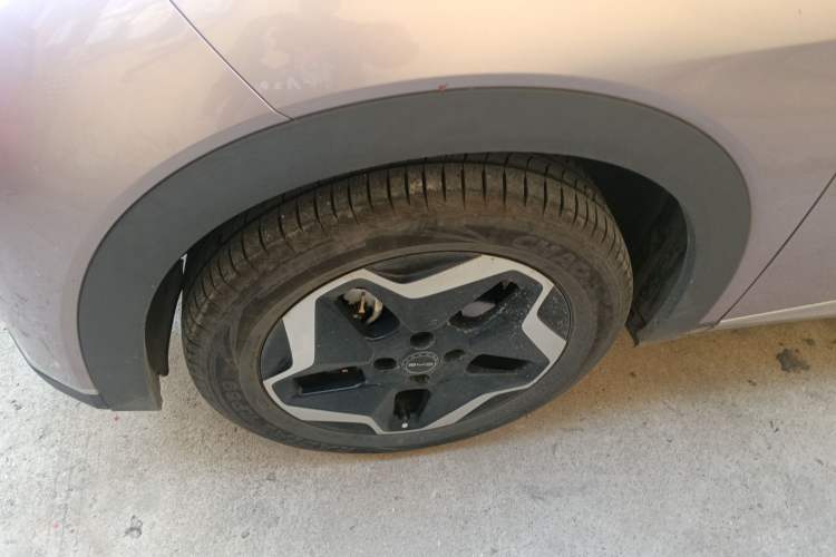 Used BYD Dolphin 2021 405 km Free Version Left Front Wheel Hub