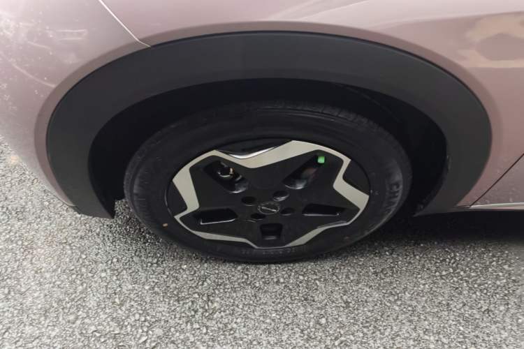 Used BYD Dolphin 2021 405 km Fashion Edition Left Front Wheel Hub