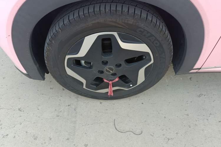 Used BYD Dolphin 2021 405 km Fashion Edition Left Front Wheel Hub