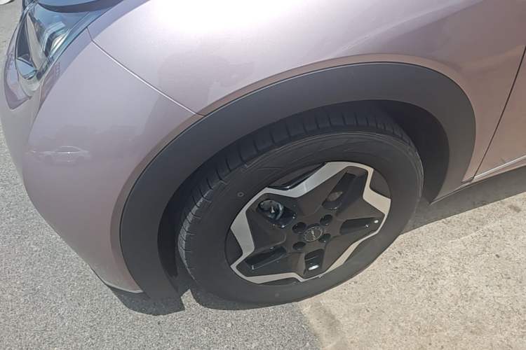 Used BYD Dolphin 2021 405 km Fashion Edition Left Front Wheel Hub