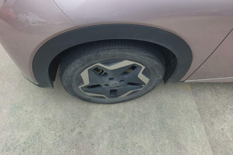 Used BYD Dolphin 2021 405 km Fashion Edition Left Front Wheel Hub