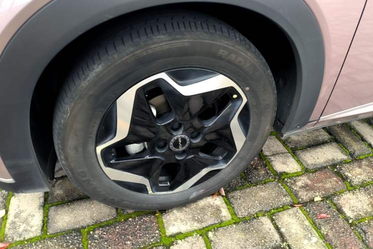 Used BYD Dolphin 2021 405 km Fashion Edition Left Front Wheel Hub