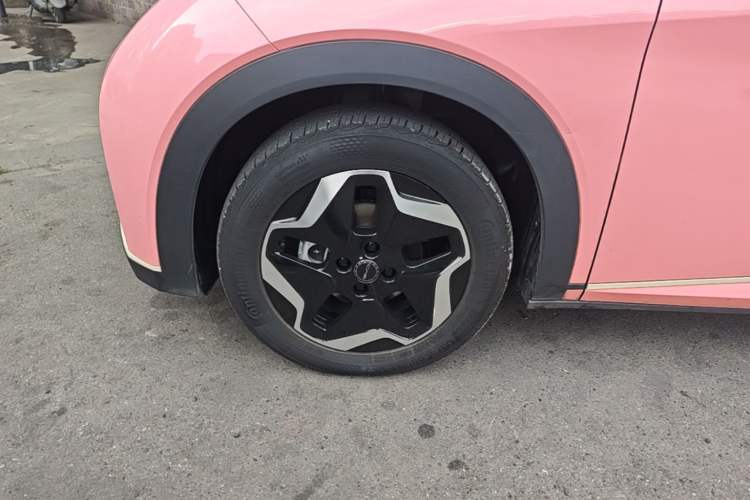 Used BYD Dolphin 2021 405 km Free Version Left Front Wheel Hub
