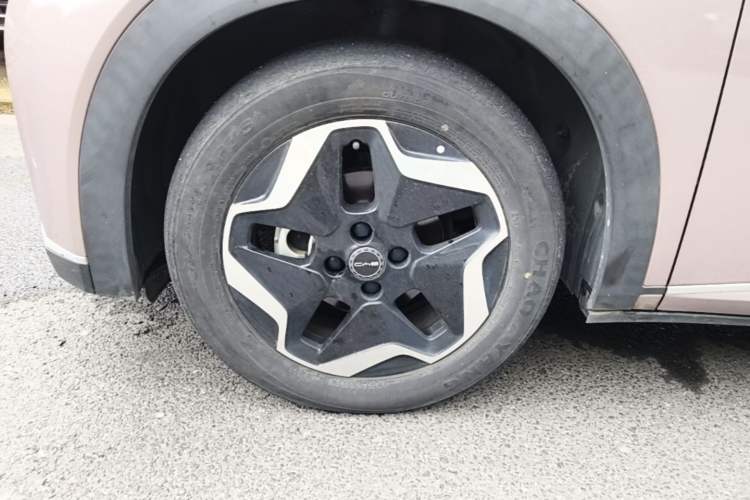 Used BYD Dolphin 2021 405 km Fashion Edition Left Front Wheel Hub