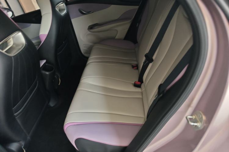 Used BYD Dolphin 2021 405 km Fashion Edition Left Rear Seat