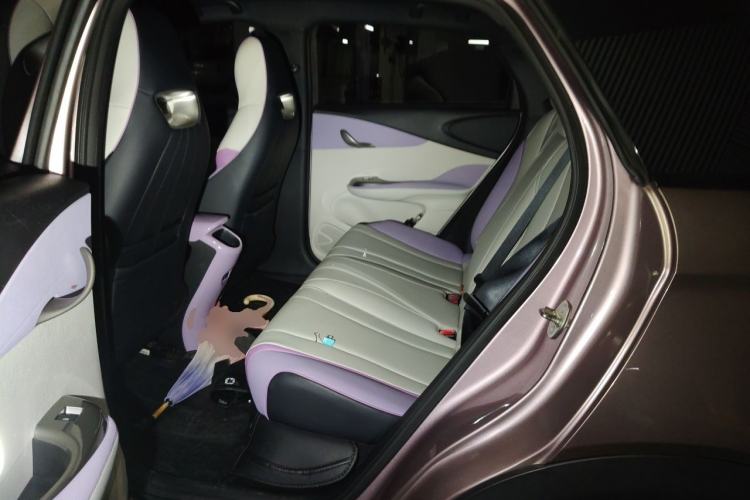 Used BYD Dolphin 2021 401km Knight Edition Left Rear Seat