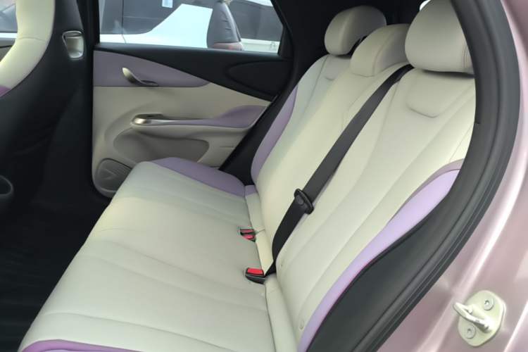 Used BYD Dolphin 2021 405 km Fashion Edition Left Rear Seat