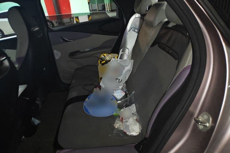 Used BYD Dolphin 2021 401km Knight Edition Left Rear Seat