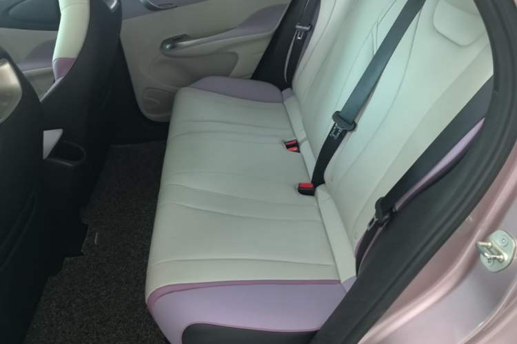 Used BYD Dolphin 2021 401km Knight Edition Left Rear Seat