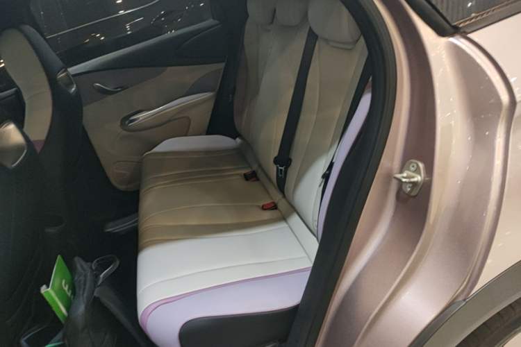 Used BYD Dolphin 2021 401km Knight Edition Left Rear Seat