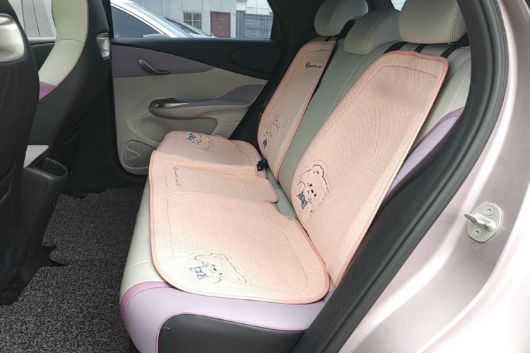 Used BYD Dolphin 2021 405 km Fashion Edition Left Rear Seat