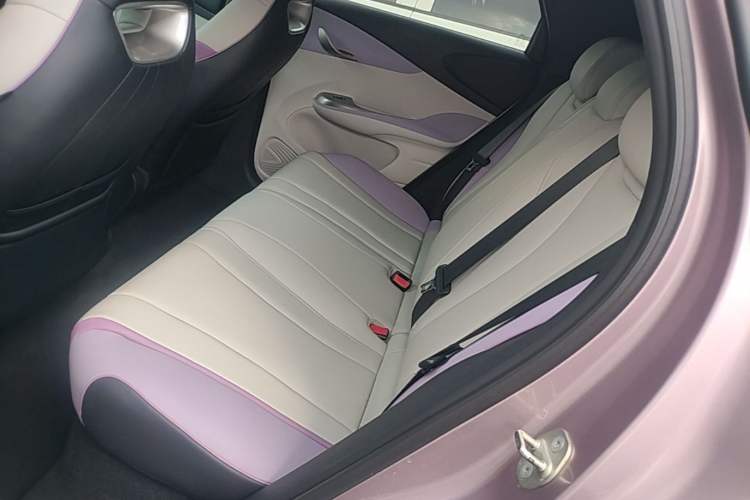 Used BYD Dolphin 2021 405 km Fashion Edition Left Rear Seat