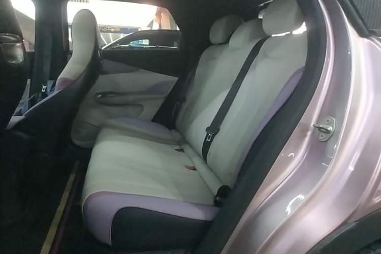 Used BYD Dolphin 2021 405 km Fashion Edition Left Rear Seat