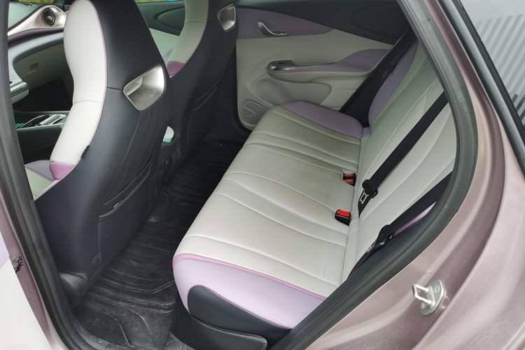 Used BYD Dolphin 2021 405 km Fashion Edition Left Rear Seat