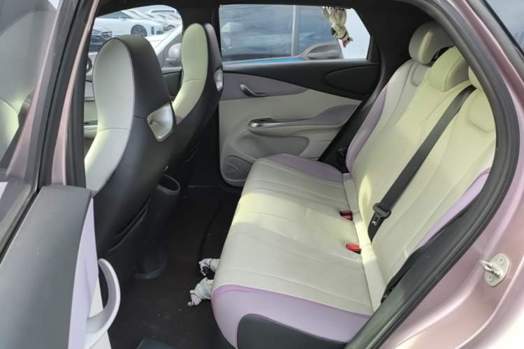Used BYD Dolphin 2021 405 km Fashion Edition Left Rear Seat