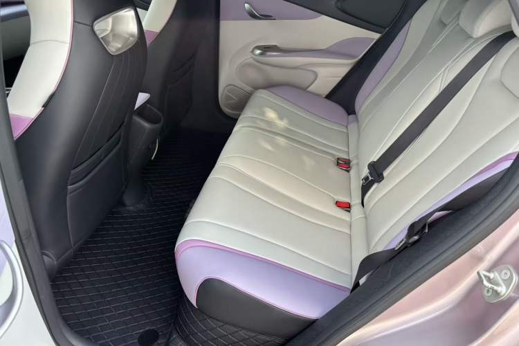 Used BYD Dolphin 2021 405 km Fashion Edition Left Rear Seat