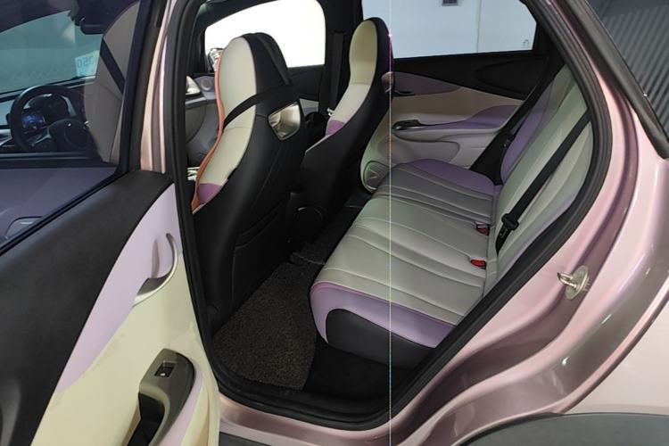 Used BYD Dolphin 2021 405 km Fashion Edition Left Rear Seat