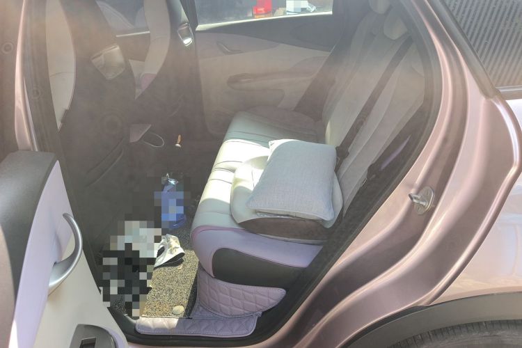 Used BYD Dolphin 2021 405 km Fashion Edition Left Rear Seat