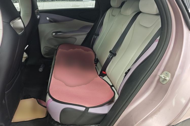 Used BYD Dolphin 2021 405 km Fashion Edition Left Rear Seat