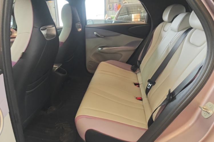 Used BYD Dolphin 2021 401km Knight Edition Left Rear Seat