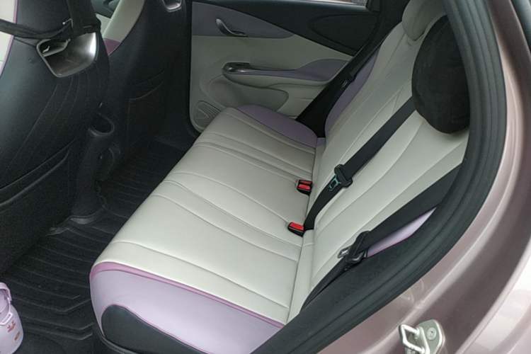 Used BYD Dolphin 2021 401km Knight Edition Left Rear Seat