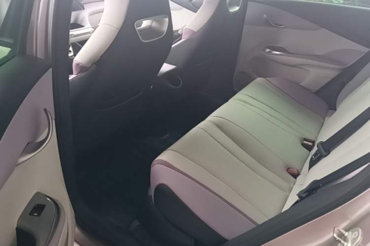 Used BYD Dolphin 2021 405 km Fashion Edition Left Rear Seat