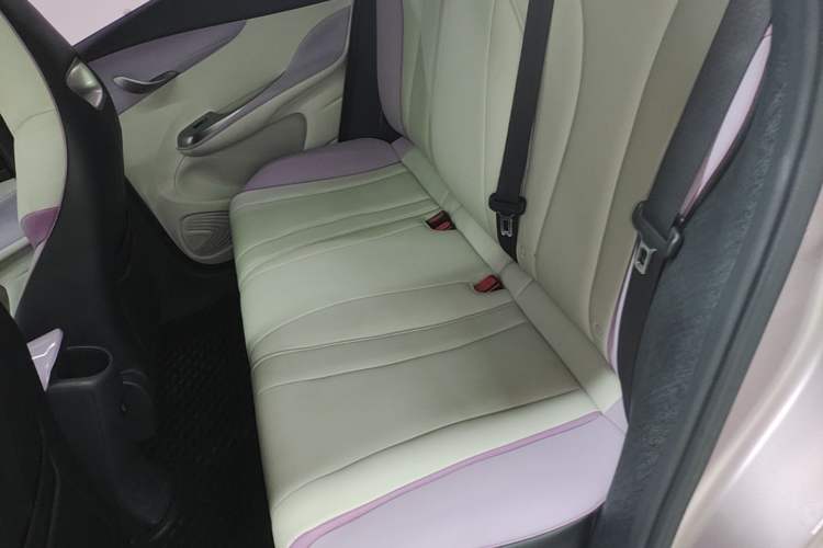 Used BYD Dolphin 2021 405 km Fashion Edition Left Rear Seat