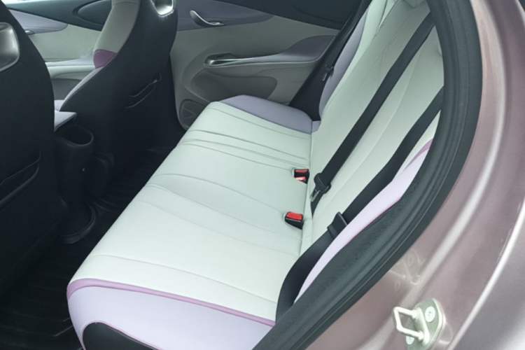 Used BYD Dolphin 2021 405 km Fashion Edition Left Rear Seat