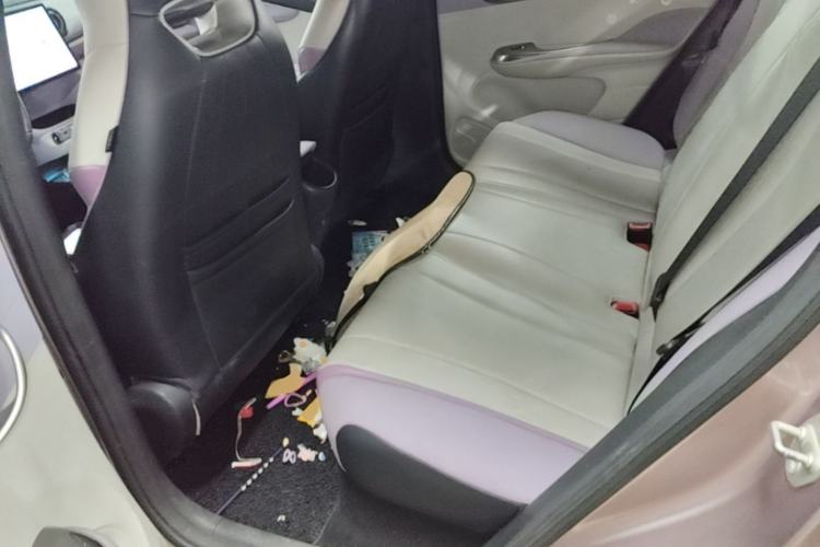 Used BYD Dolphin 2021 405 km Fashion Edition Left Rear Seat