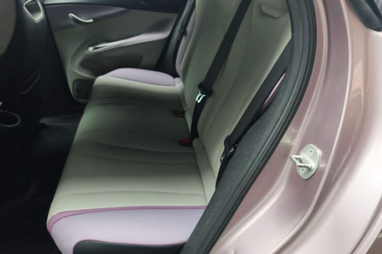 Used BYD Dolphin 2021 405 km Fashion Edition Left Rear Seat