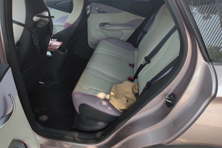 Used BYD Dolphin 2021 405 km Fashion Edition Left Rear Seat