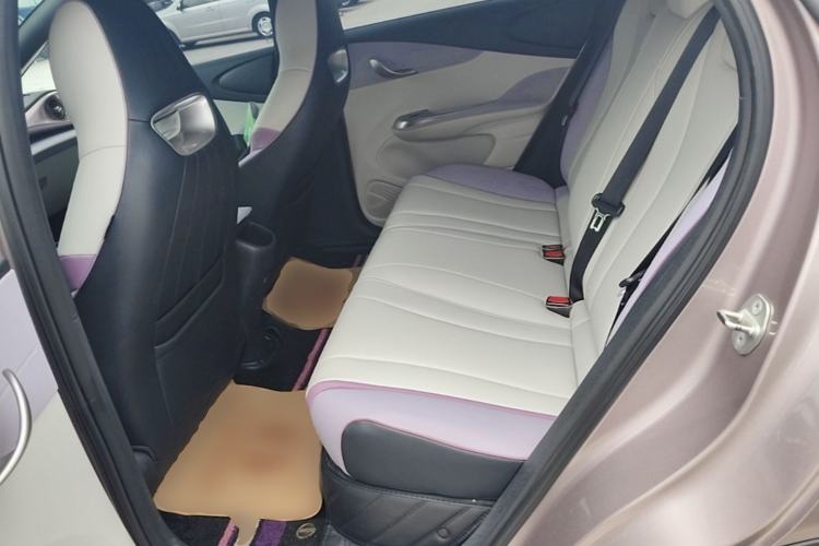Used BYD Dolphin 2021 405 km Fashion Edition Left Rear Seat