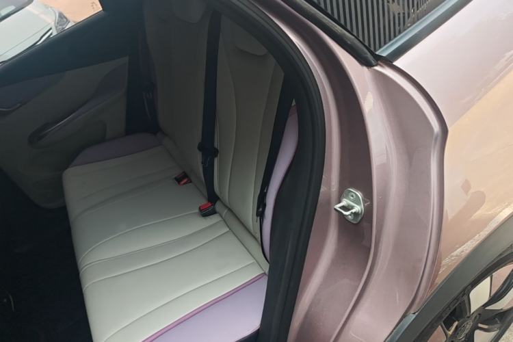 Used BYD Dolphin 2021 401km Knight Edition Left Rear Seat